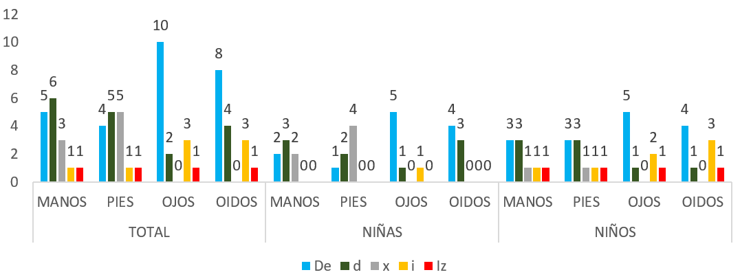 11/2 a 4 Años