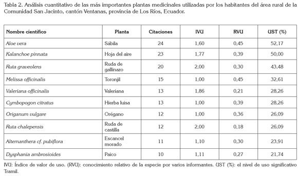 Vista De Usos De Plantas Medicinales En La Comunidad San Jacinto